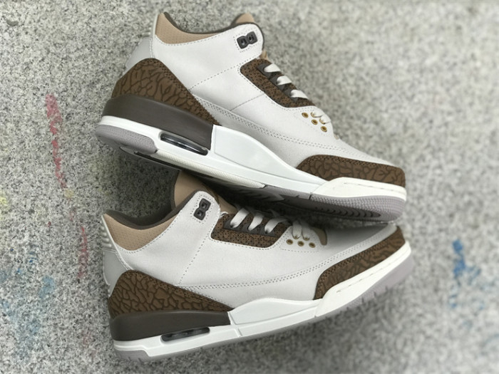 Air Jordan 3 GS“Palomino”