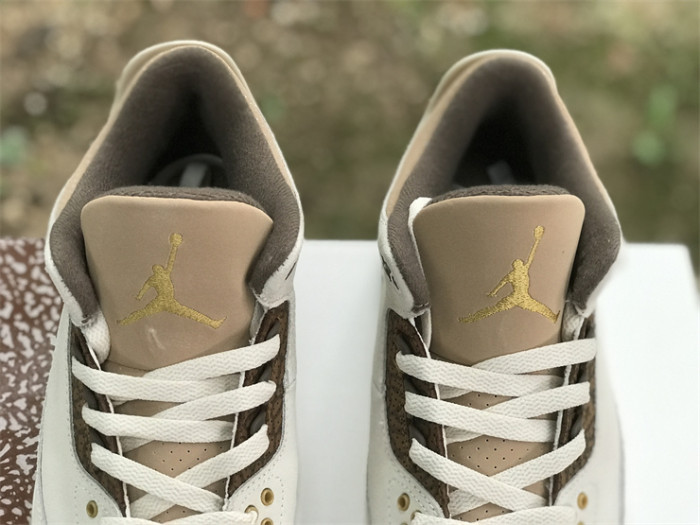 Air Jordan 3 GS“Palomino”