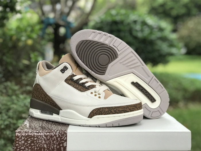 Air Jordan 3 GS“Palomino”