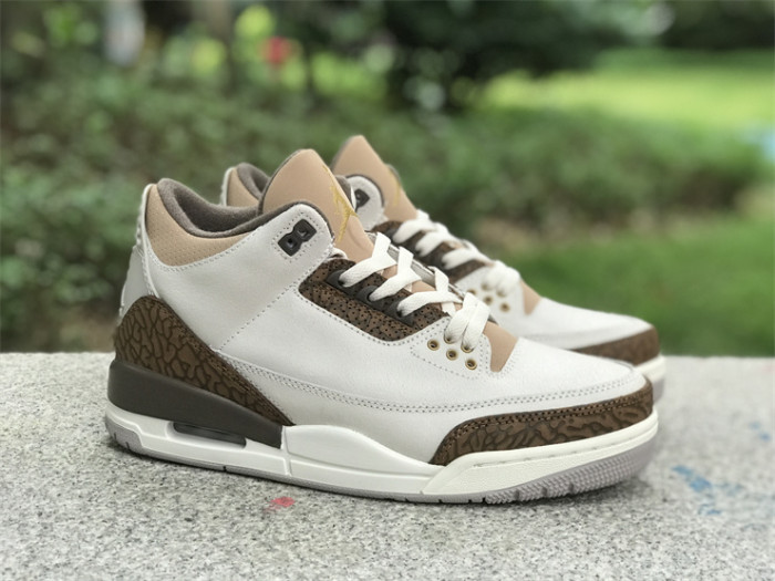 Air Jordan 3 GS“Palomino”