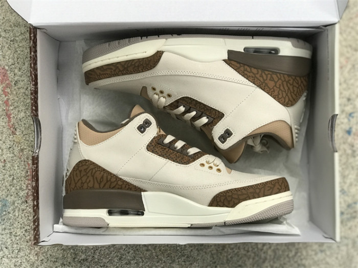 Air Jordan 3 GS“Palomino”