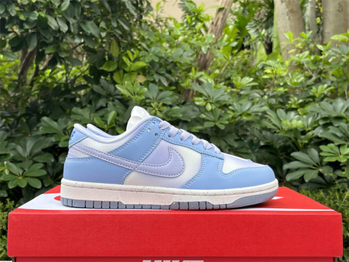 Dunk Low Blue Airbrush