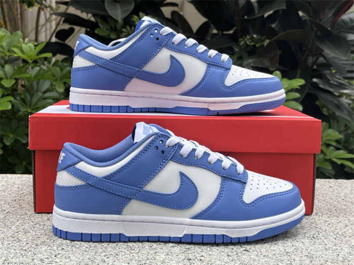 Nike Dunk Low Polar Blue