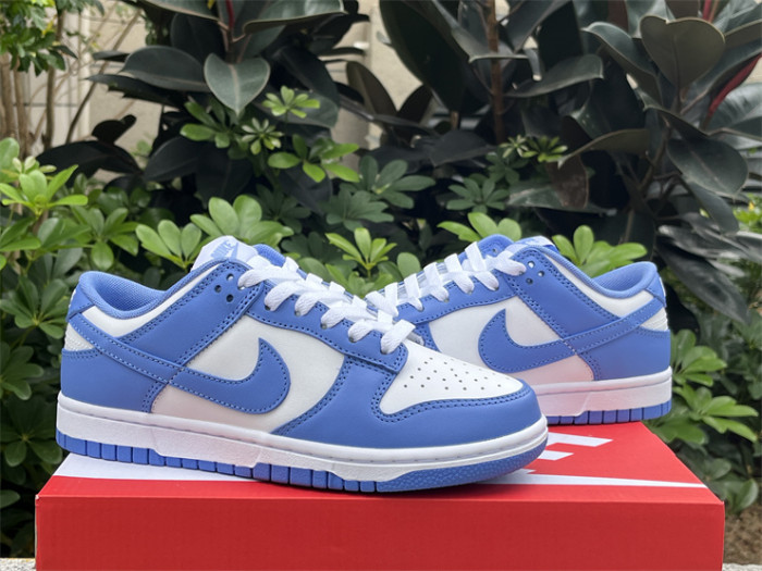 Nike Dunk Low Polar Blue