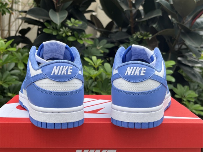 Nike Dunk Low Polar Blue