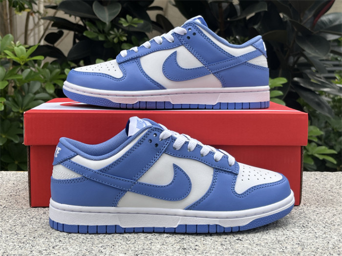 Nike Dunk Low Polar Blue