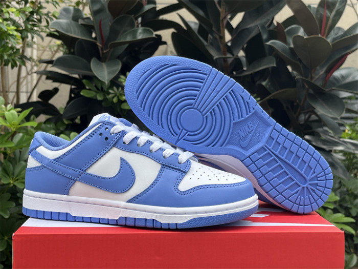 Nike Dunk Low Polar Blue
