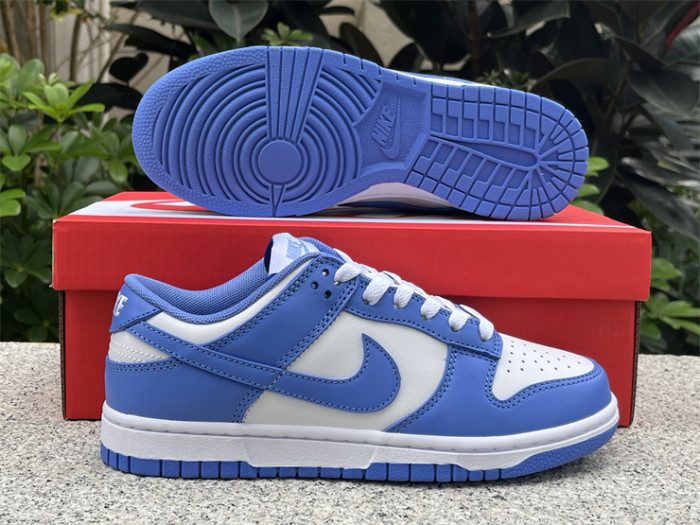 Nike Dunk Low Polar Blue