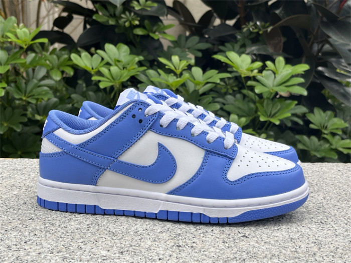 Nike Dunk Low Polar Blue