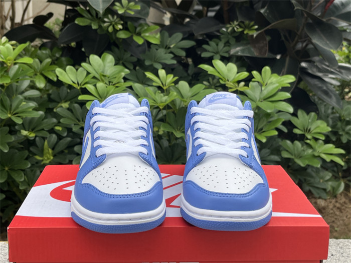 Nike Dunk Low Polar Blue