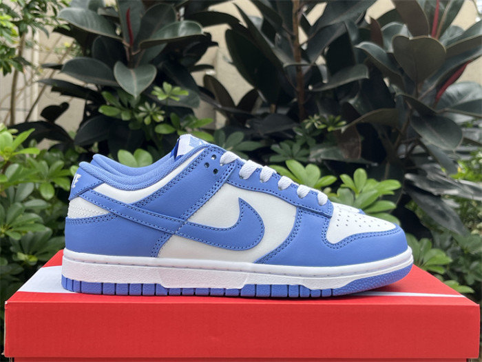 Nike Dunk Low Polar Blue