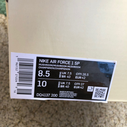 Authentic Billie Eilish x Nike Air Force 1 Low