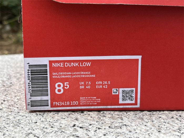 Nike Dunk Low  Wear and Tear  FN3418-100
