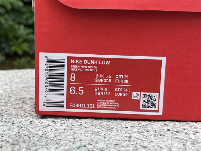 Nike Dunk Low FD9911-101