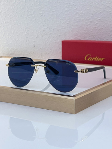 Cartier Sunglasses AAAA-5581