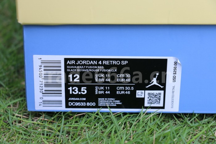 Authentic Union LA x Air Jordan Guava Ice