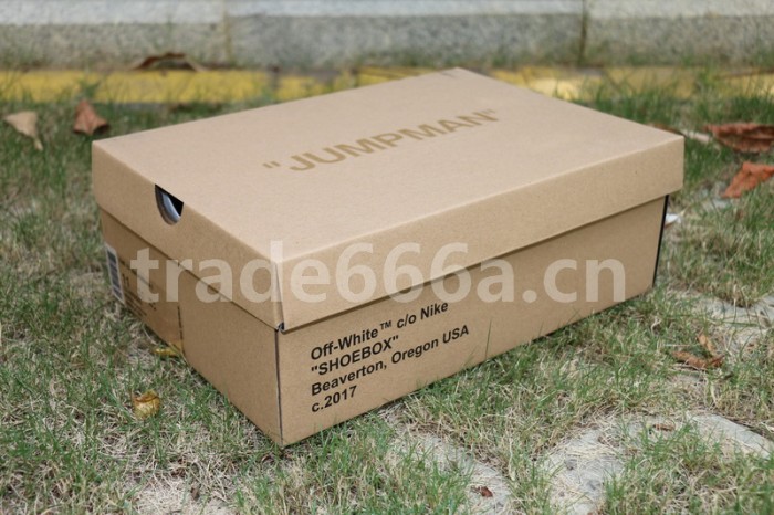 Authentic Off White X Air Jordan 1 Shoes