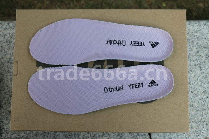 Authentic Yeezy 500 “Soft Vision”