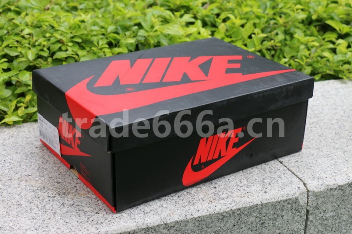 Authentic Air Jordan 1 “Royal” 2017