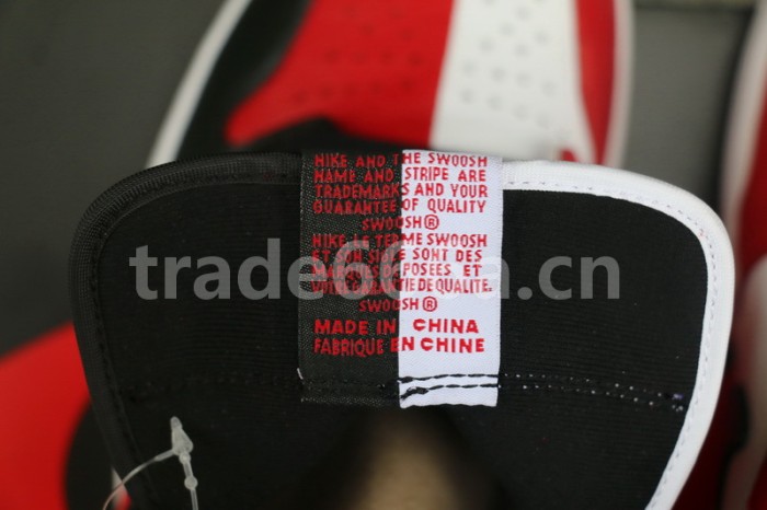 Authentic Air Jordan 1 Retro High OG “Homage To Home”