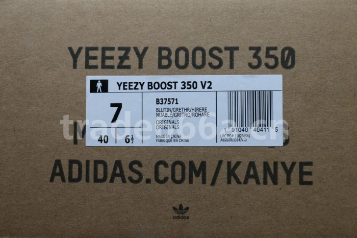 Authentic AD Yeezy Boost 350 V2 “Blue Tint”