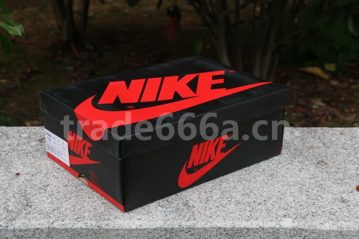 Authentic Air Jordan 1 “Reverse Shattered Backboard”