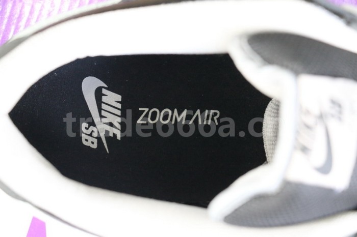 Authentic Nike SB Dunk Low J-Pack “Shadow”