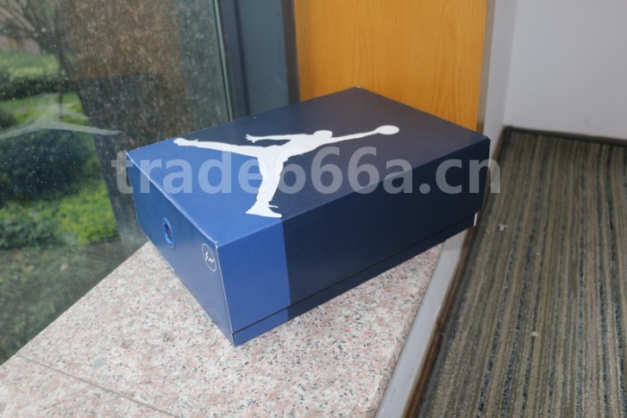 Authentic Fragment x Air Jordan 3