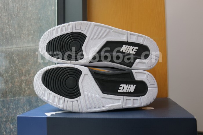 Authentic Fragment x Air Jordan 3