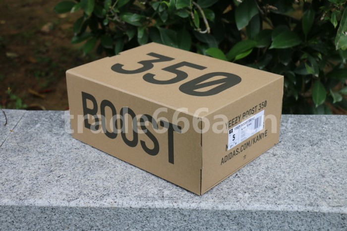 Authentic Yeezy Boost 350 V2 “Clay”