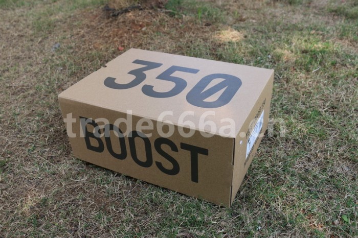 Authentic Yeezy 350 V2 “Yeshaya” Reflective