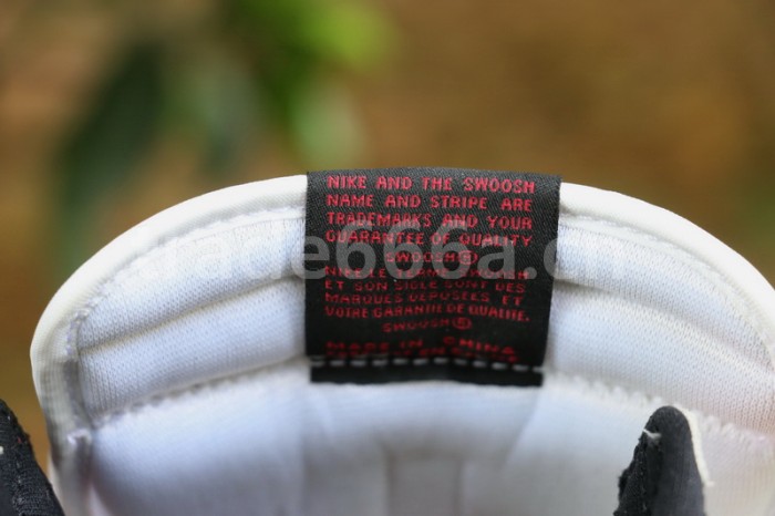 Authentic Air Jordan 1 High OG“ Light Smoke Grey”