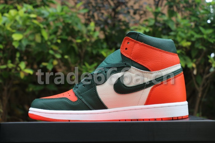 Authentic Solyfly x Air Jordan 1