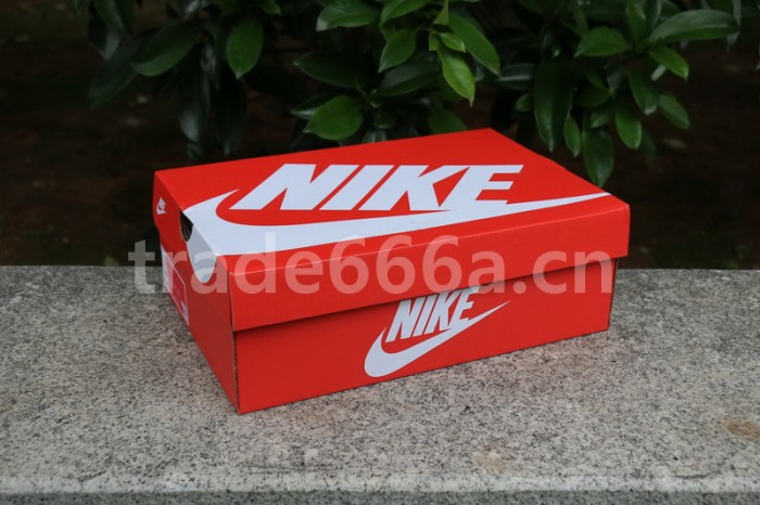 Authentic Nike Dunk Low SP “Brazil”