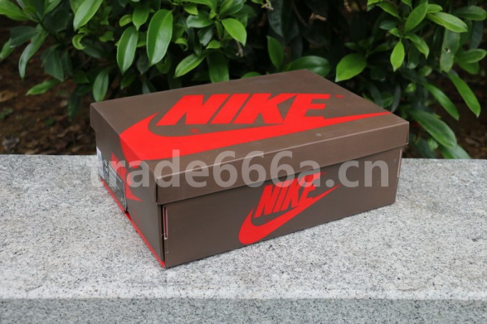 Authentic Travis Scott x Air Jordan 1 High OG TS SP