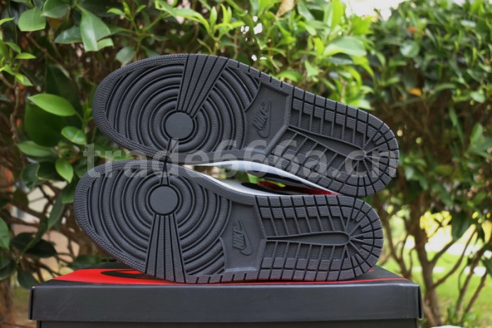 Authentic Air Jordan 1 High OG“ Light Smoke Grey”