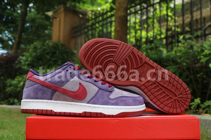 Authentic Nike Dunk Low “Plum”