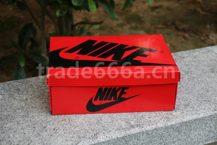 Authentic Air Jordan 1 Retro High OG “Tie Dye”