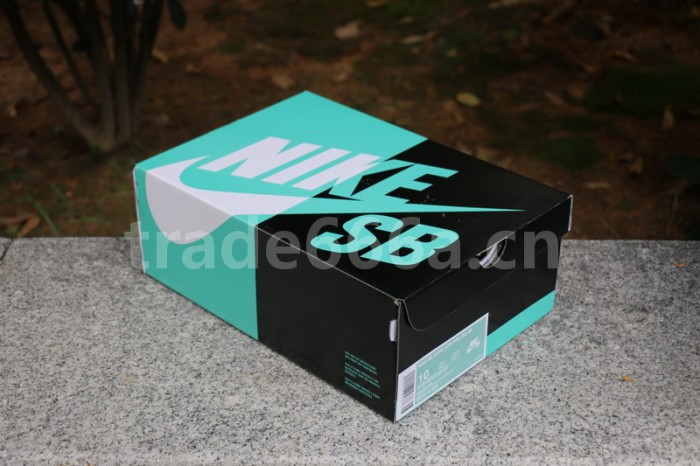 Authentic Nike Dunk SB Concepts Purple Lobster