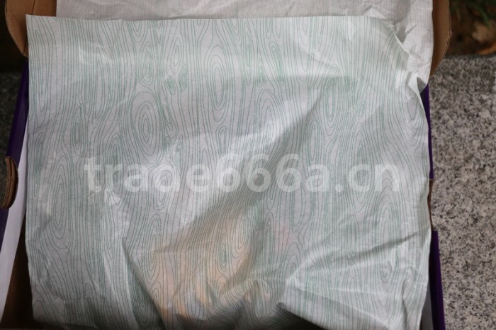 Authentic Nike SB Dunk Low “ACG”