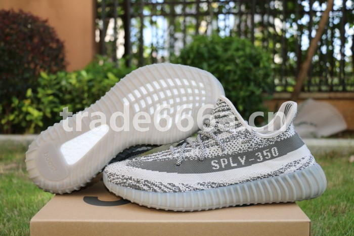 Authentic AD Yeezy 350 V2 Turtle Dove