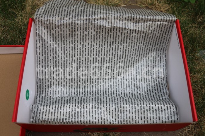 Authentic Air Jordan 1 “Fearless”