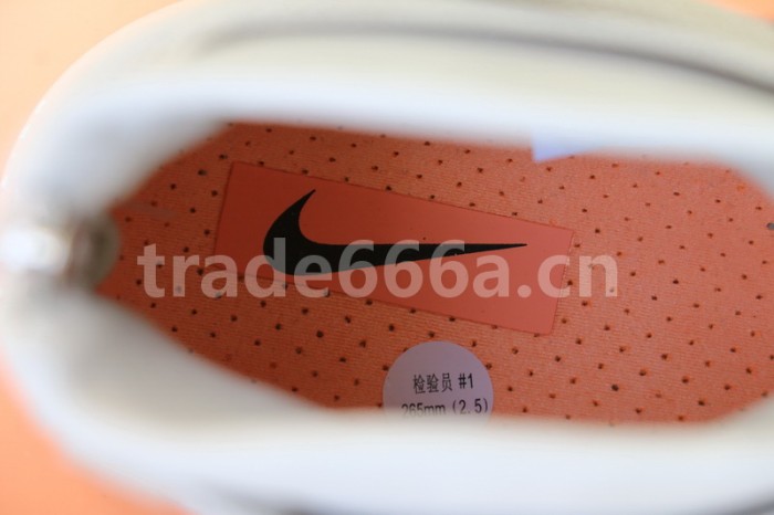 Authentic Nike Air Shot Around “Light Bone”