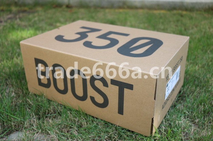 Authentic AD Yeezy 350 V2 Turtle Dove