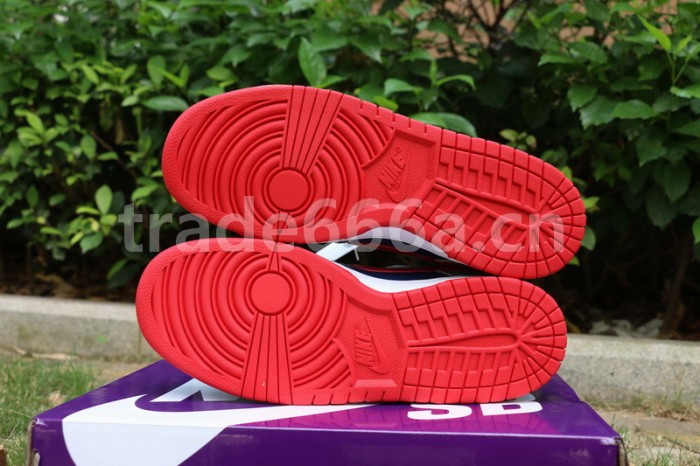 Authentic Nike Dunk Low “Samba”