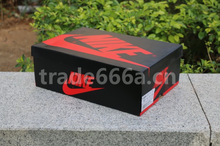 Air Jordan 1 Satin “Shattered Backboard” Women Size