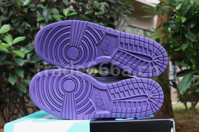 Authentic Nike Dunk SB Concepts Purple Lobster