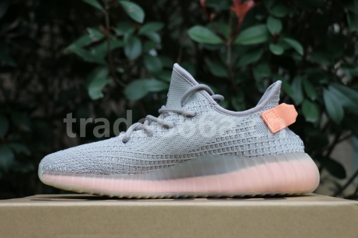 Authentic Yeezy Boost 350 V2 “True Form”