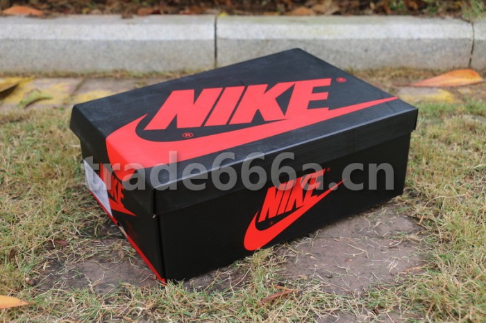 Authentic Solyfly x Air Jordan 1