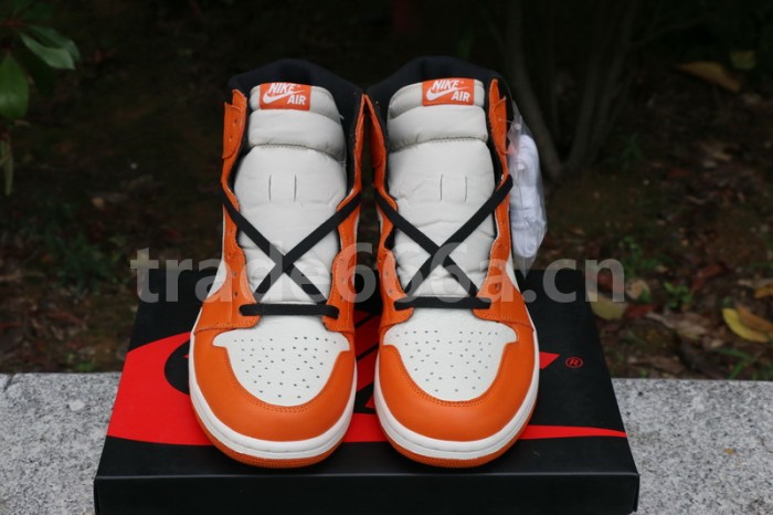Authentic Air Jordan 1 “Reverse Shattered Backboard”